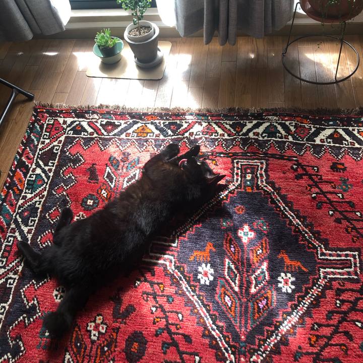 B8540eec 2fac 4c80 9ec3 c3d1f9ab494a 1602494754256