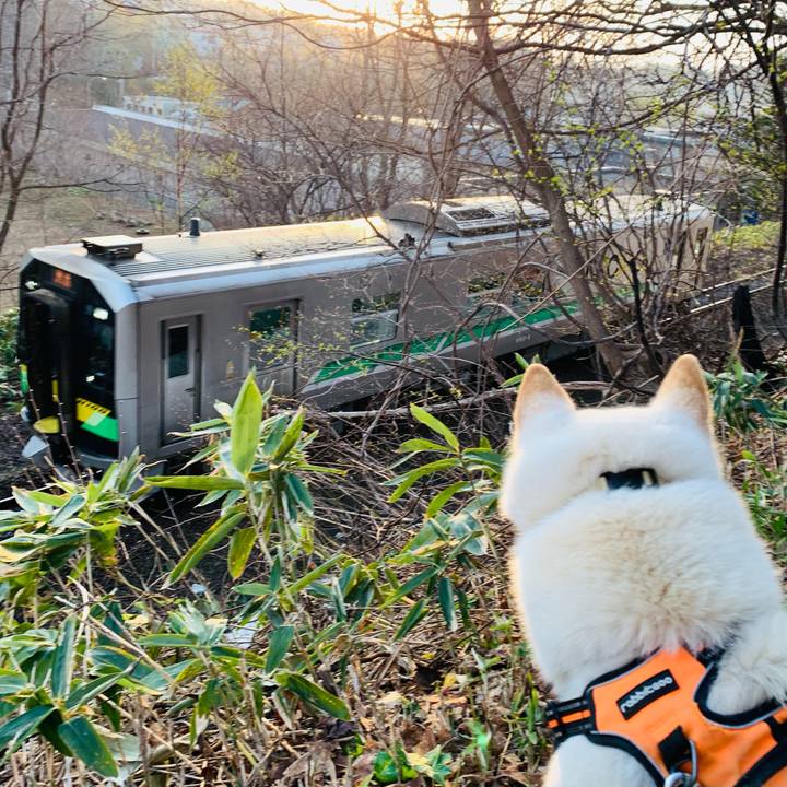 B85436c7 92b5 4326 88b8 bf359f9174fc 1650838318813