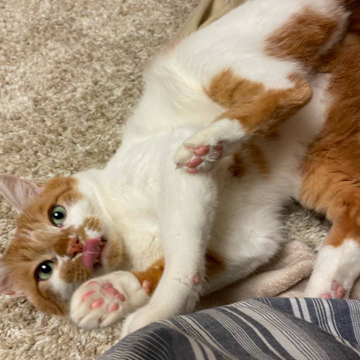 B8543a4f 219c 447f 824c ac1a26b6685b 1643005372176