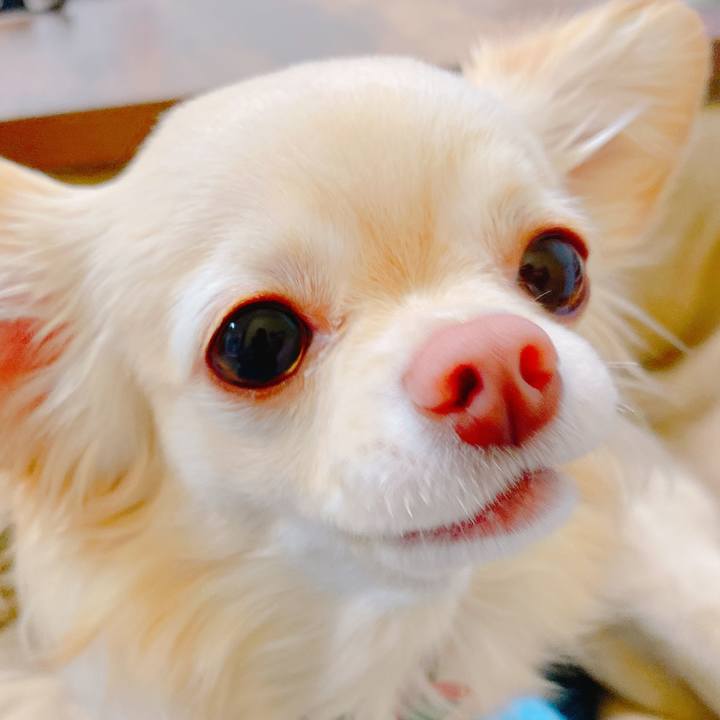 B85463e5 56d7 4d8f b399 fd8862ed5bb1 1647130470267