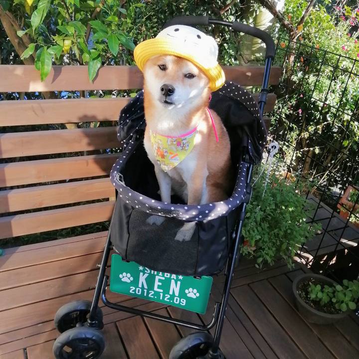 B85466b3 c1a2 4fc3 85e7 5d1684e10360 1636187310677