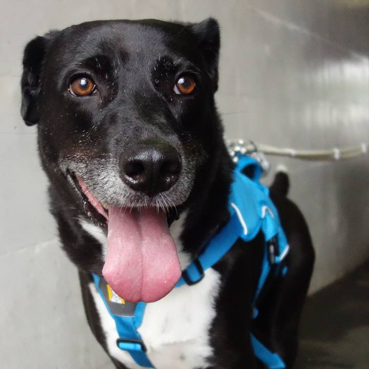 B85470d8 f5a4 445f 921d 9779d6cb93c5 1665881934008