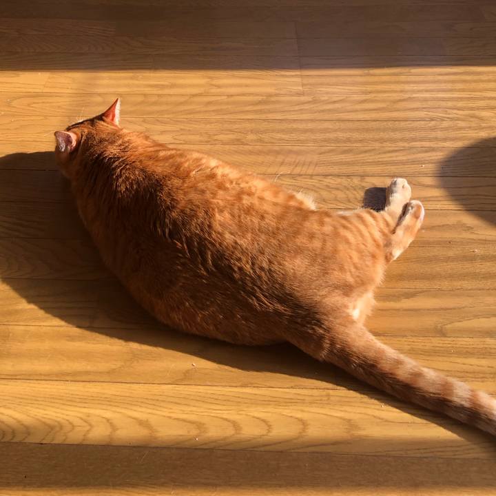 B85484e9 93a0 4bc7 8739 8dffad306042 1651097613942