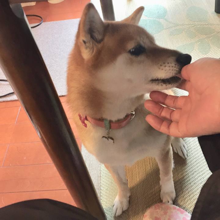 B854a6e8 4bfb 44f5 bb7a d18140e13793 1512603670987