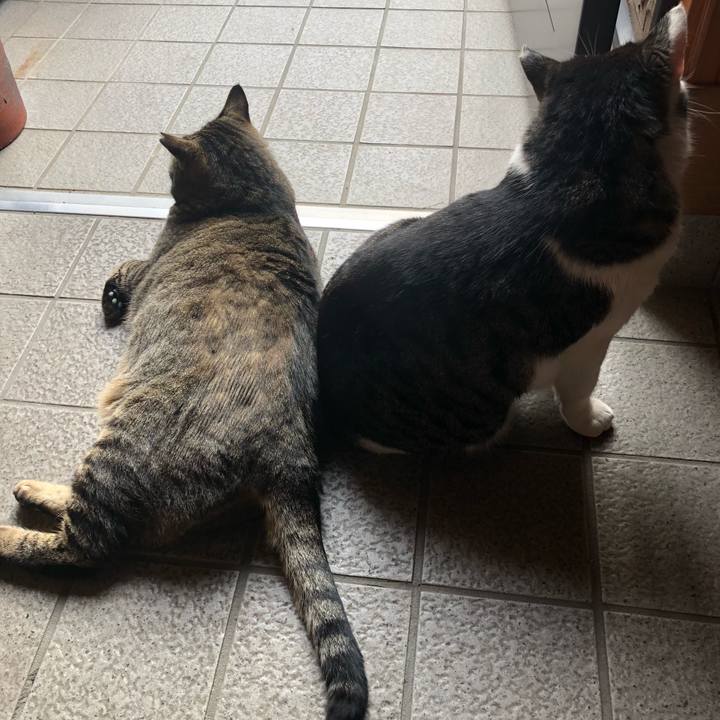 B85513f0 1d6b 4e7f b634 998058c6d975 1523529679800