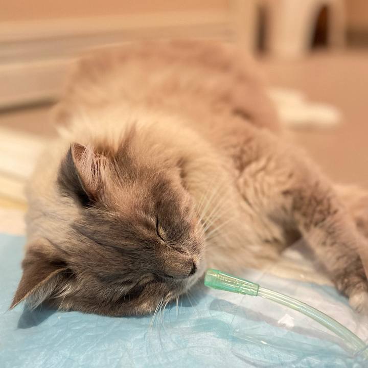 B855225f 8c5d 4f91 b541 024c54e82ab5 1690620249554