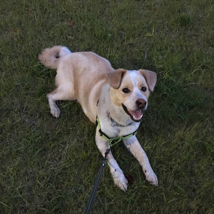 B855230f 055f 4644 9d08 03de884adf1d 1527254992840