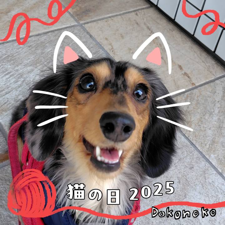 B8553101 482f 403d b194 8ebb750e2c67 1740131219291