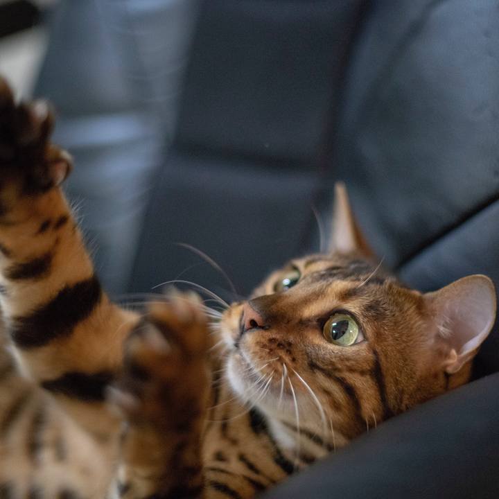 B8554425 f72b 41b9 a963 82e5502d80e3 1530796386591