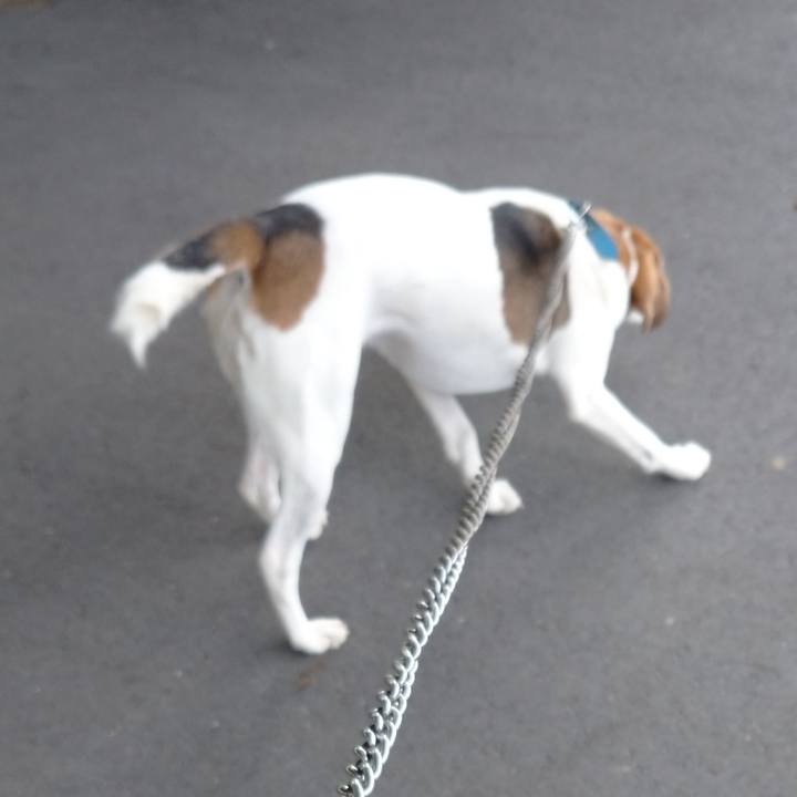 B8554b56 33c4 4e19 834e f00ae5e5c2ef 1605499956089