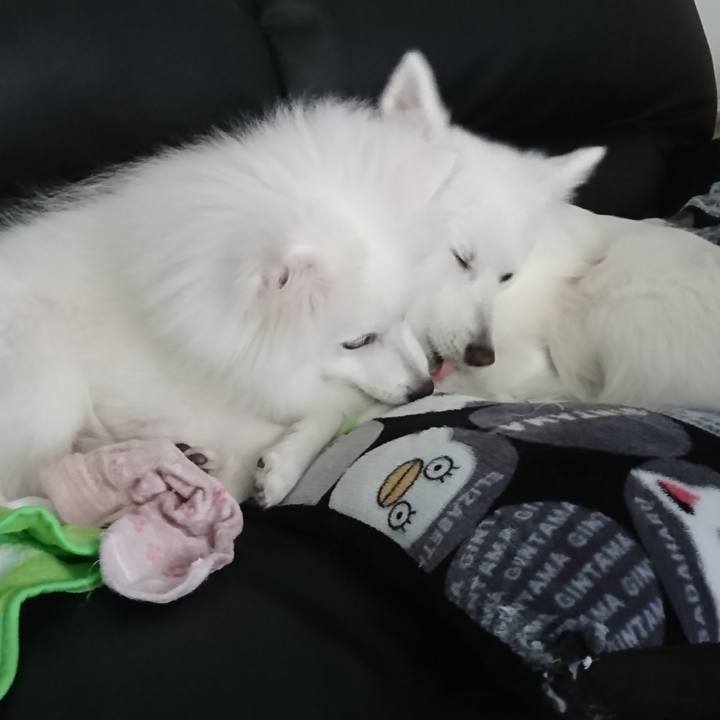 B855824c 08c5 4e8f b388 3ffc2682e555 1552972771905