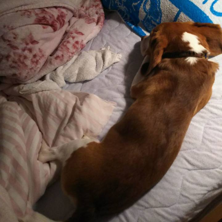 B85582ca 16e6 4131 8876 bf4ad480dd0d 1538239791421