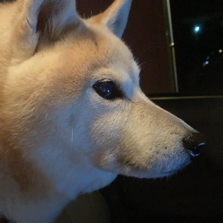 B855b05e eb6e 4ae5 a0e1 09925739dd0d 1636293027762