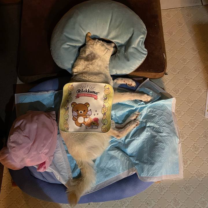 B855e082 ba8b 4da7 b1c3 11ab771c604a 1664545640265