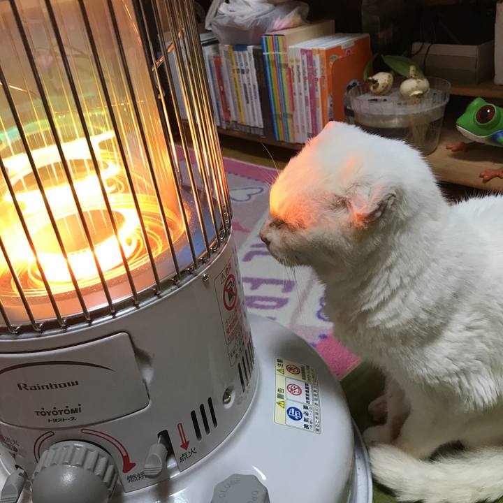 B8562683 dfe9 4390 81aa 863e30e984a2 1520768132088