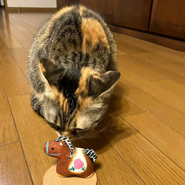 B8562eb5 3716 44fb bcf1 b047b0364c33 1765426652742