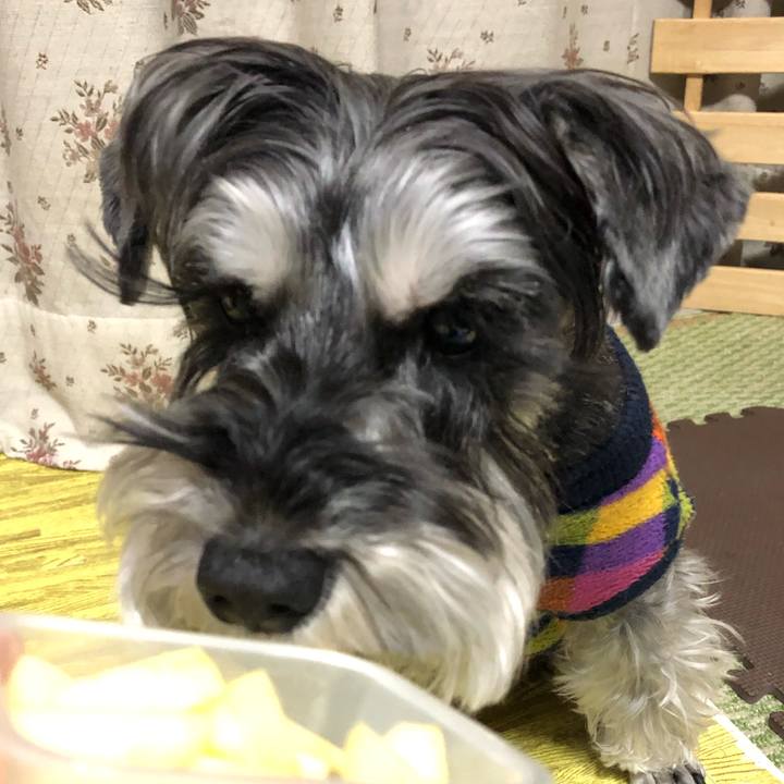 B856b7e9 d693 456e 8327 c2b29b1236df 1679104666462