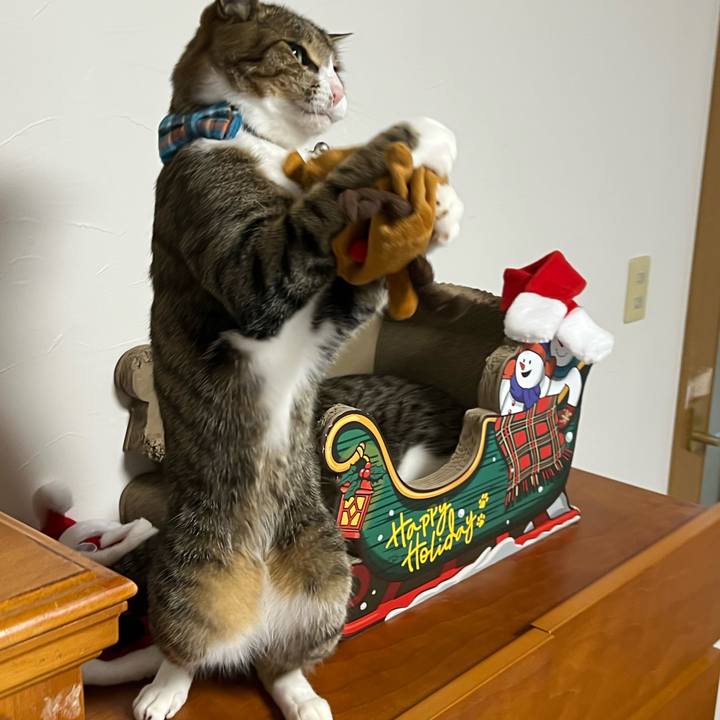 B856ceb5 1e6c 47f6 bb92 e19068582bee 1766566752775