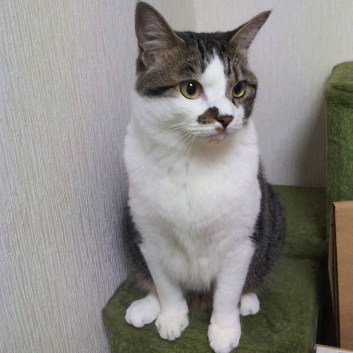 B856d493 acb6 47fa beca 4ff4f14a257c 1659834865302