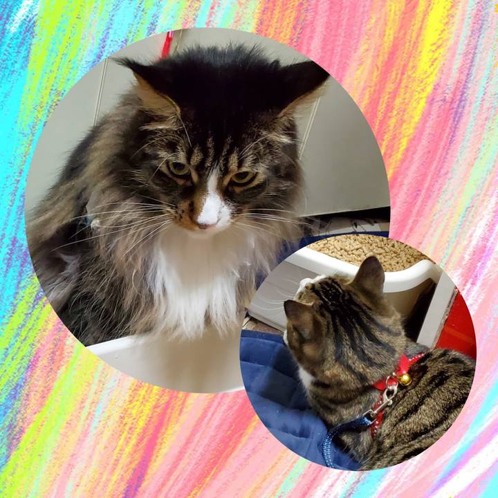 B856eb87 b844 429c 8671 c58d1fef6b33 1736401401391