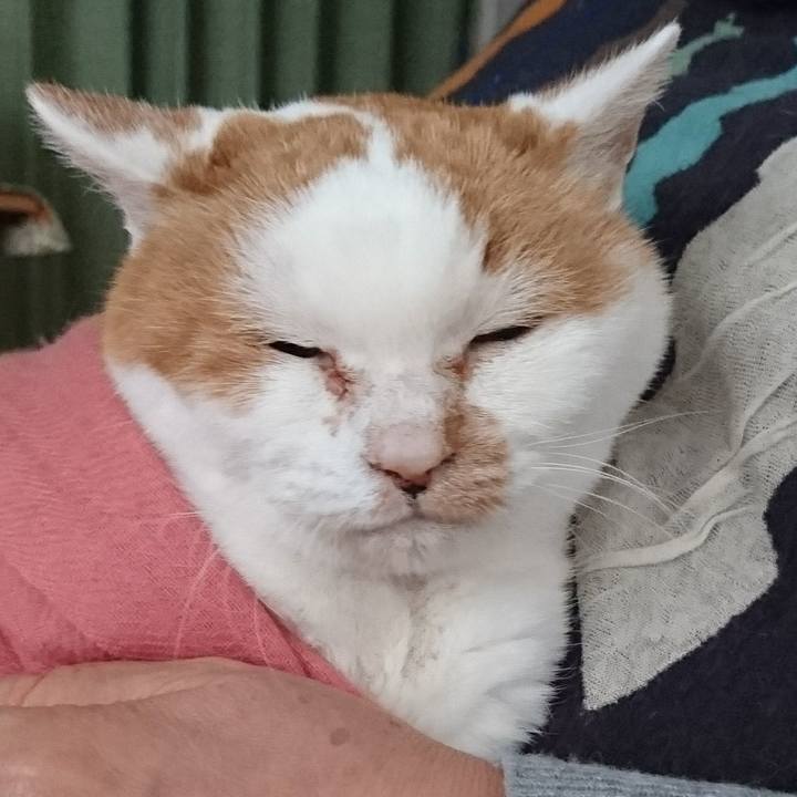 B856f884 e098 487b a0ec fca64f6f742d 1579329816624