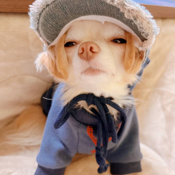 B856f88a e43e 425d a10b fb4963fa19ed 1669209175328