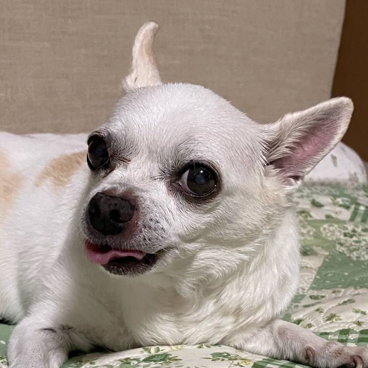 B856fc43 509d 4ee7 b552 327388fbc411 1696659852944