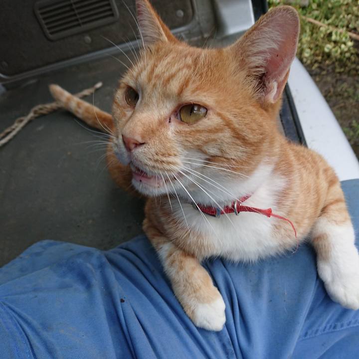 B8570937 7d2f 4932 af8b 2198c84b23cb 1571469897889