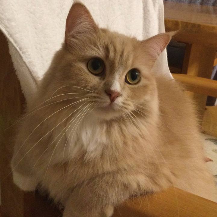 B85716d9 0c8e 4439 bb2a 249554fc7852 1673355918003