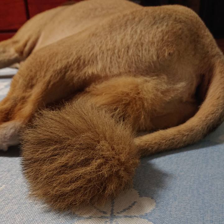 B8571a05 3313 43a2 9d0e a8b4caecb302 1568645325424