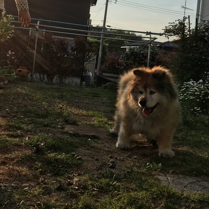 B8573868 43f8 4cca 94e9 ef3895f8dc5b 1627492136364