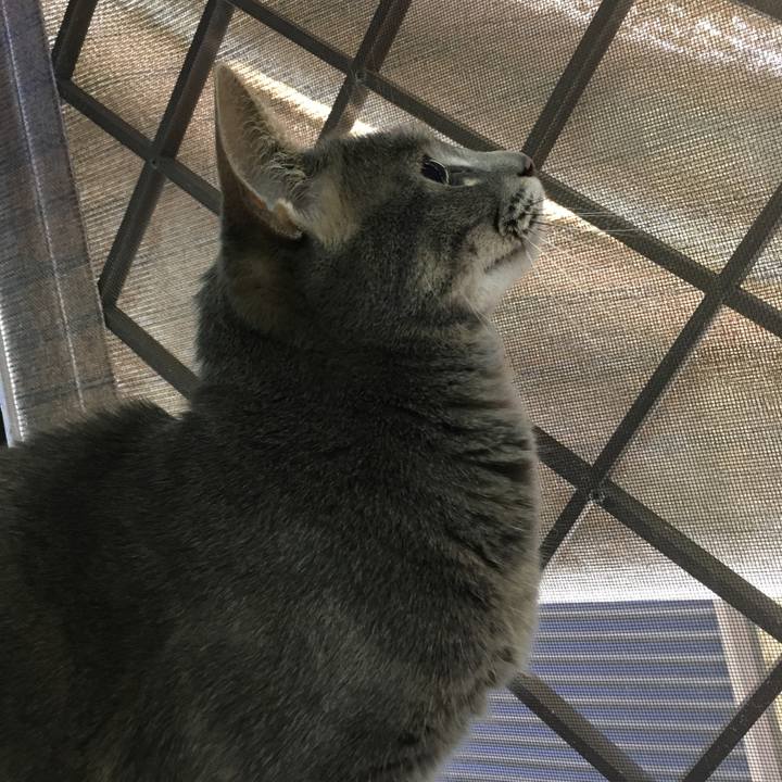 B8574914 97e5 449f 8e89 b71b6fb6097f 1589682405577