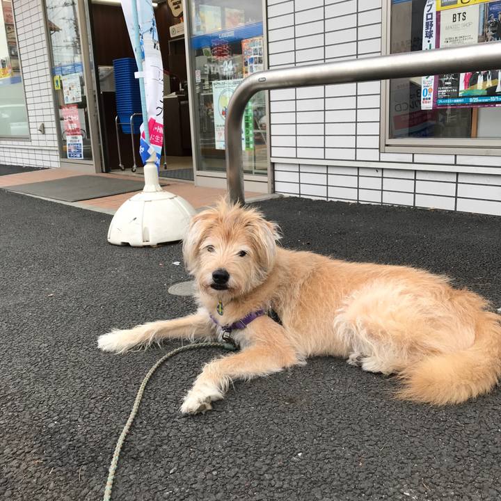 B857f189 57f0 4c9a baca 91a8d559fb6c 1569655045463