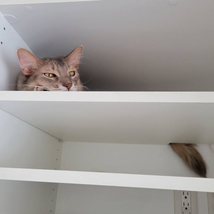 B8580c2e 108a 4b6a bd15 81c70f35bf06 1630383105232