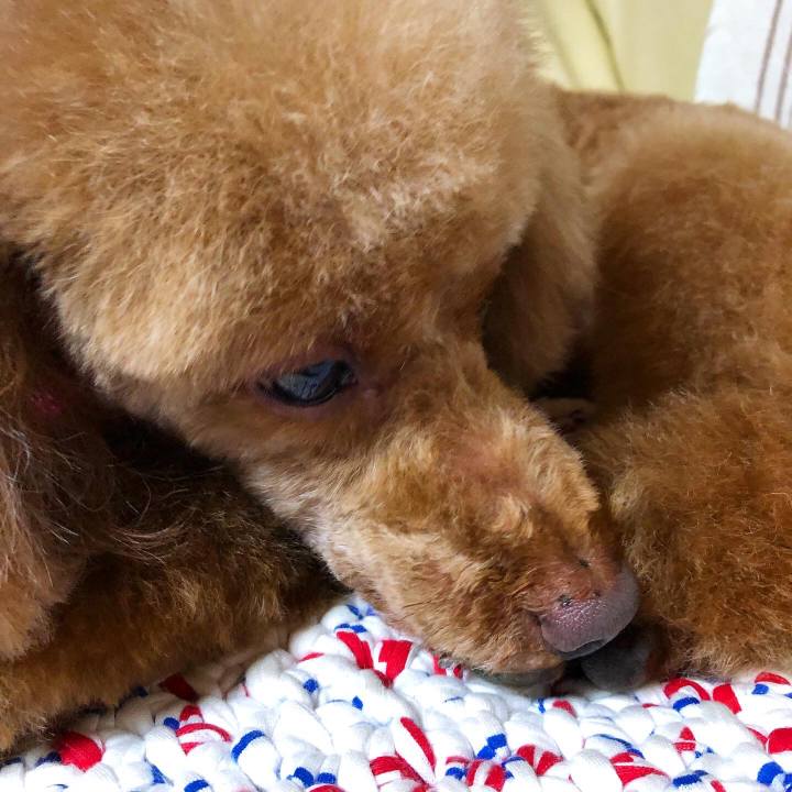 B85816bb 357a 4809 a348 cc1814338bf0 1592112254248