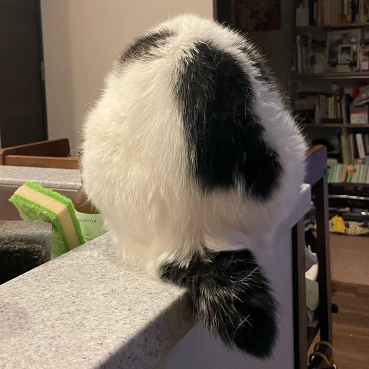 B8583686 74f9 4ca6 820a 94566f67a2a7 1756306120407