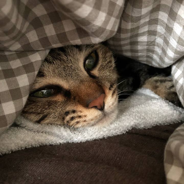 B85843f3 b7b7 4e9a 9cda b2d225eddb3b 1516333014086