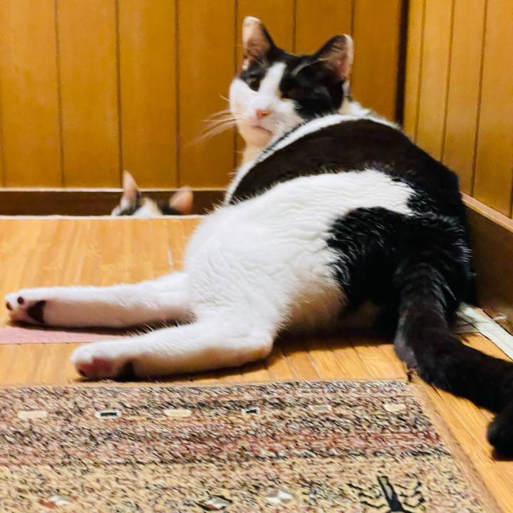 B8584d93 1677 4e72 8fc8 aa89f745664c 1650246969273