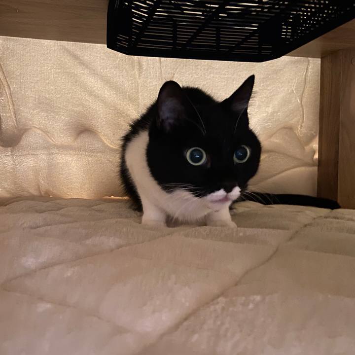 B8587b92 07e6 4cac 907d 2d03e13aebf4 1634700786609