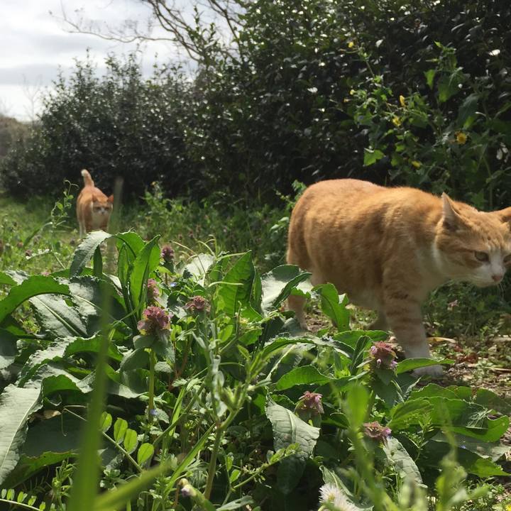 B8587c2e 1c6f 4def 90fc edd7f7803ef7 1586245370438