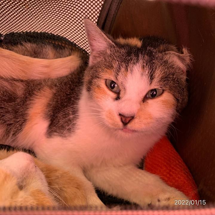 B8587c73 f833 4df2 a85b 874f9f841629 1642225754400