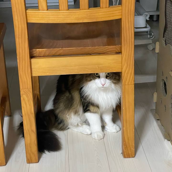 B8588d2b 3b15 4182 9e86 3b2219b327bd 1655467614279