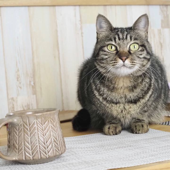 B858bc23 dc34 4c13 801b 44b27d6127d1 1675210566978