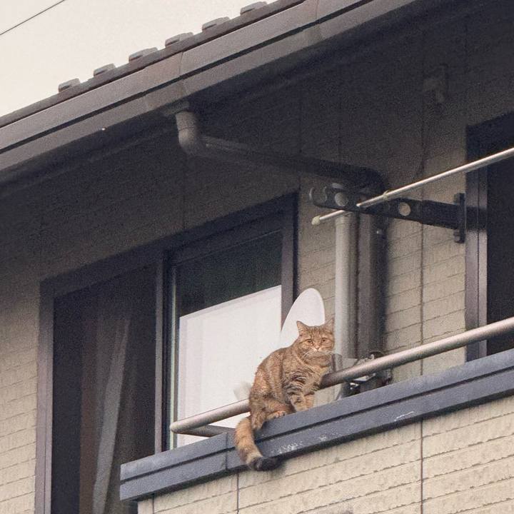 B858c170 fad6 42cb a075 ec144a745bb7 1757203775113