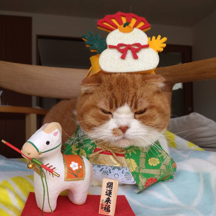 B8590cf5 2b58 4cf2 a536 b3762641605f 1767487107958