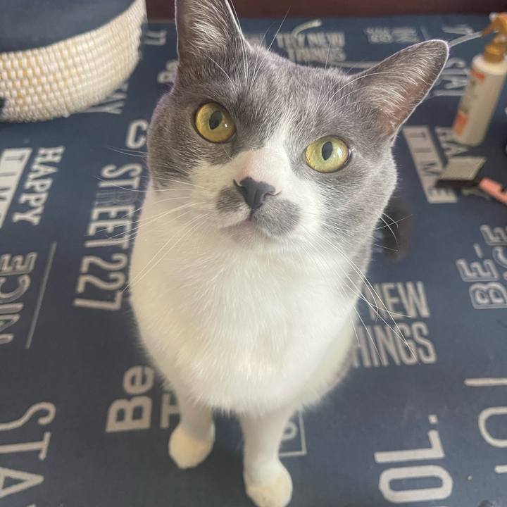 B8594371 2c5d 4b64 8aa3 28a2b2c69e1b 1714264153624