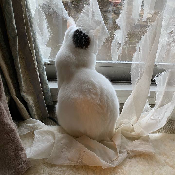 B8595051 7fd5 4263 9909 74524cdc3685 1670798074416