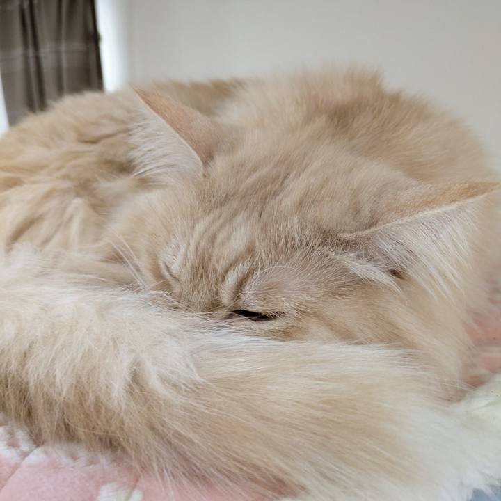 B85950af a9e9 4726 a593 580dd68b0c64 1767578038821