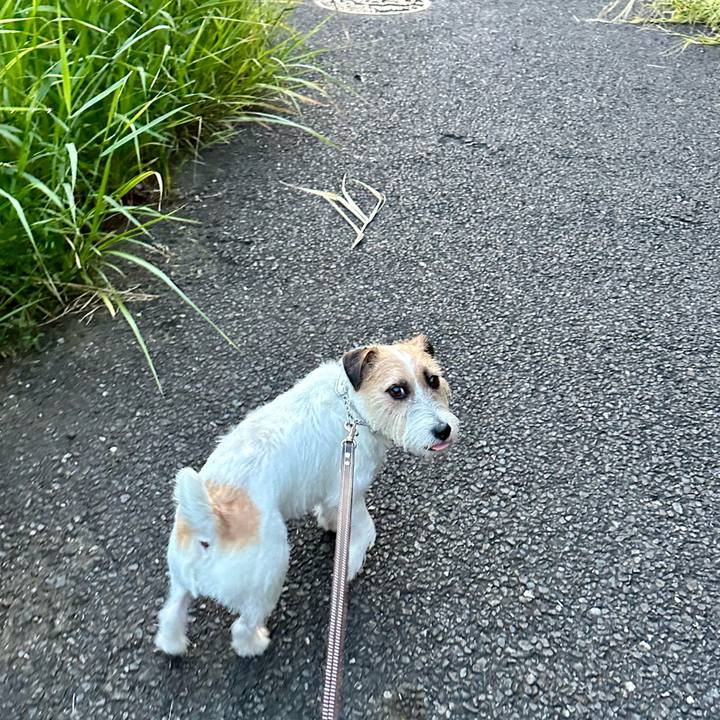 B8595151 c1cf 4cdd 8e3d 50b3e12c3273 1724899102522