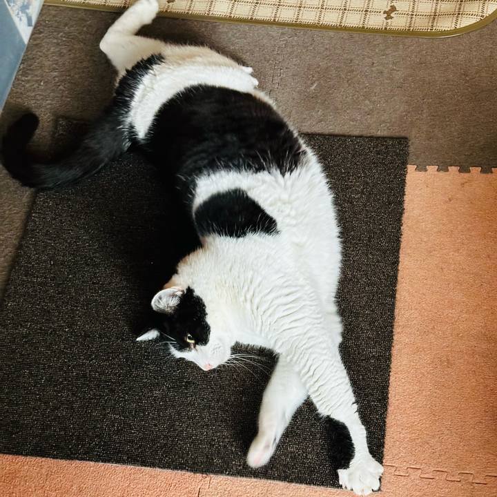 B8598ec3 a75a 4d02 922c 8d9315de4736 1707875924723